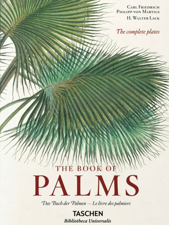 New Mags - The Book of Palms