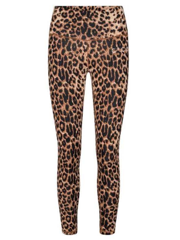Co'Couture - Stein Animal Tights