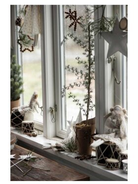 Ib Laursen - 2776-00 Cedartree in Pot