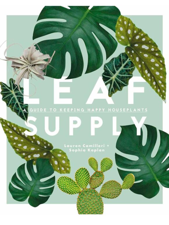 New Mags - Leaf Supply