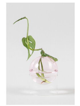 Studio About - Standing Flower Bubble Low Tube