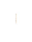 Stine A - Big Etoile Creol Earring