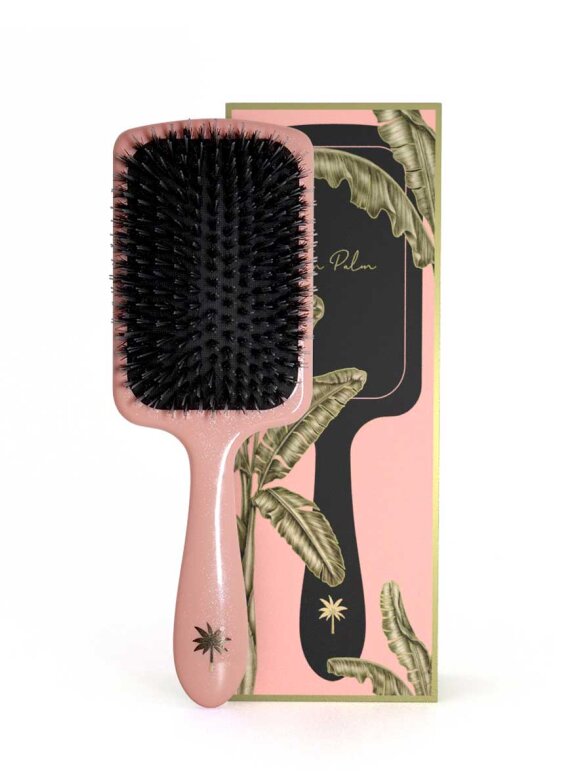Fan Palm - Paddle Brush Large Fan Palm - Paddle Brush Large