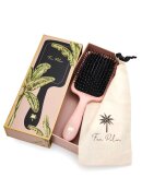 Fan Palm - Paddle Brush Large Fan Palm - Paddle Brush Large