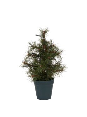 House Doctor - Pinus Christmas Tree
