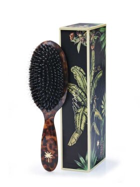 Fan Palm - Hair Brush Lux Turtle Medium