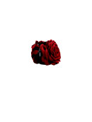 Black Colour - BCBega Hair Claw