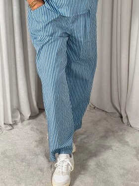 MARTA - MDCDidi Pant