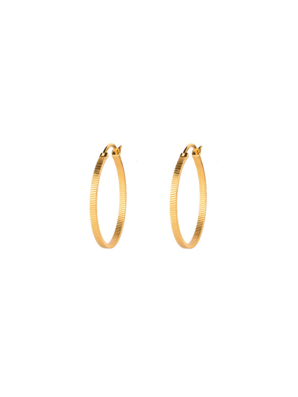 Vincent - Fortune Teller Creol Earrings