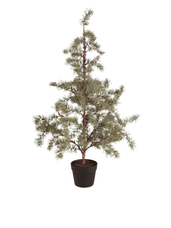 Ib Laursen - 27996-00 Artificial Cedar In Pot