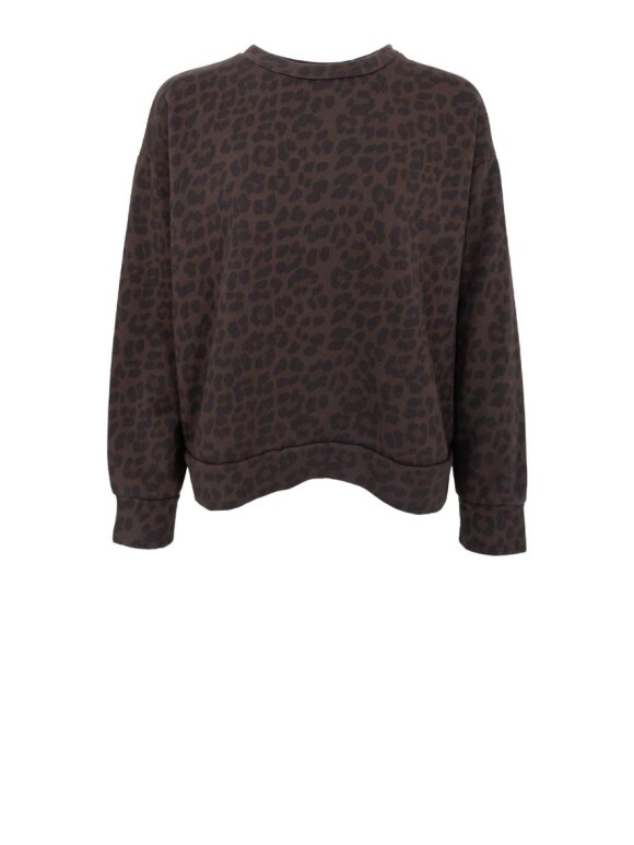 Black Colour - BCDea Sweatshirt Black Colour - BCDea Sweatshirt