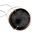 Manipura Living - 45784 Coconut Stage Til Ophæng Manipura Living - 45784 Coconut Stage Til Ophæng