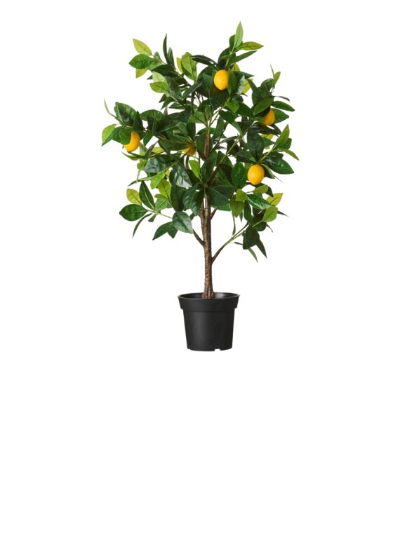 Ib Laursen - 9883-00 Lemon Tree W. Pot