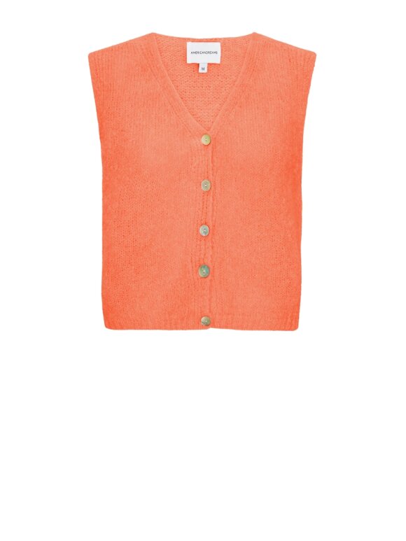 AMERICANDREAMS - Telma Vest