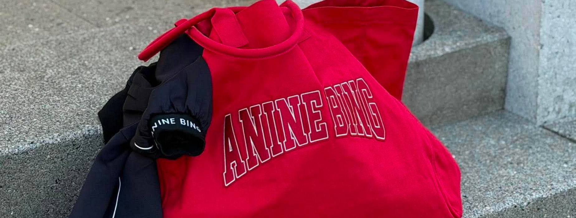 ANINE BING