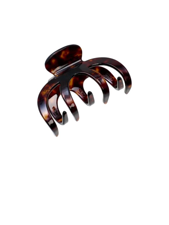 Pico - Grand Alberte Claw Pico - Grand Alberte Claw